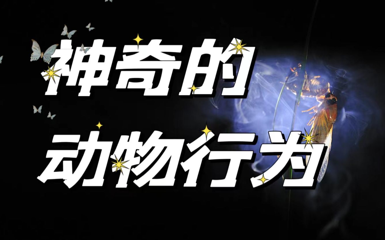 [图]不屈从本能行为，这些动物为啥非要“自取灭亡”？