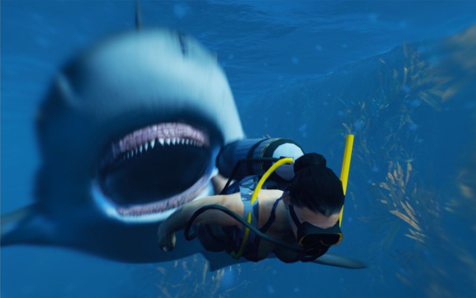 一条小鲨鱼想跟人类说的话