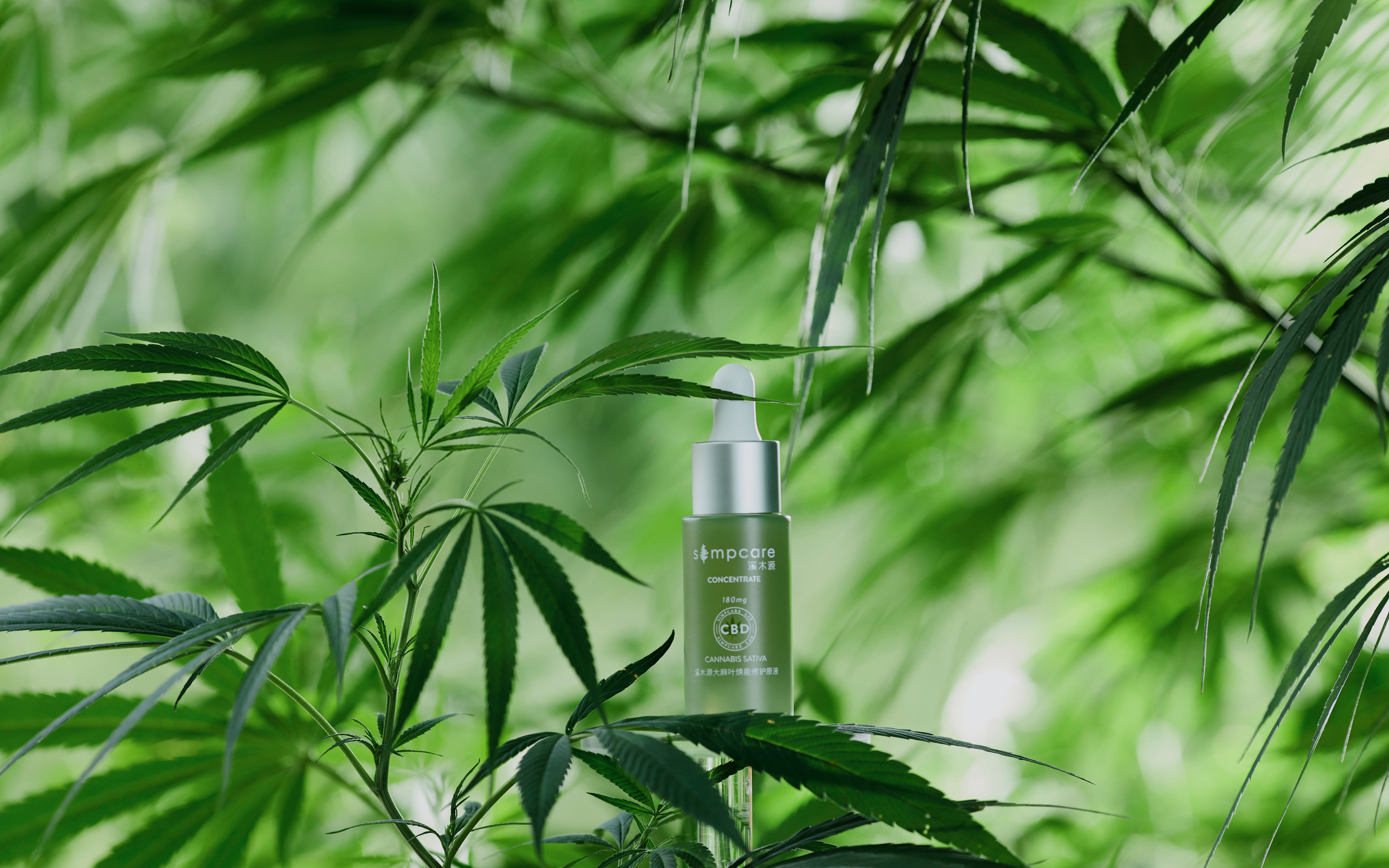 溪木源那家研究大麻护肤品的公司是什么样的