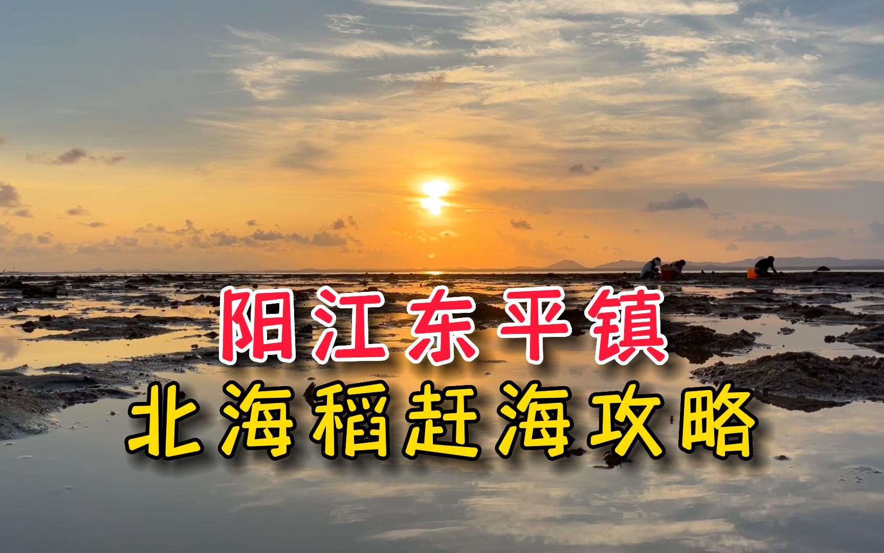 [图]体验阳江东平《北海稻》赶海看日落