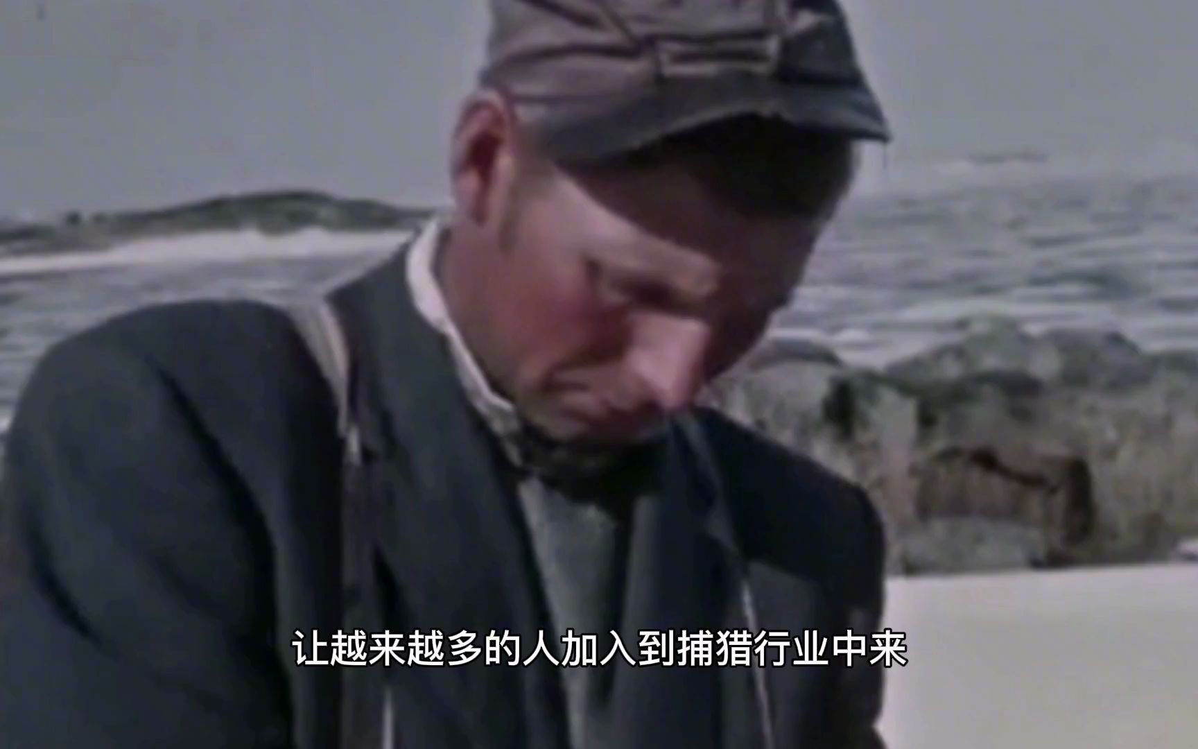 你知道海豹油怎么提炼吗?60年的北极圈资源,到底有多么丰富吗?哔哩哔哩bilibili