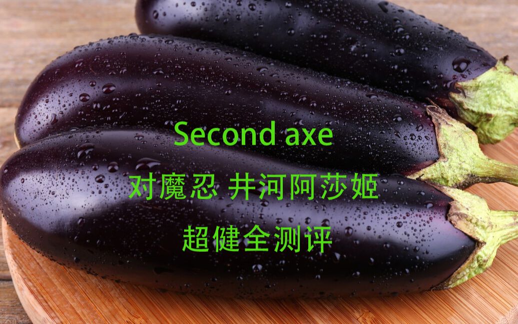 Second Axe 对魔忍井河阿莎姬 更加健全的小测评哔哩哔哩bilibili