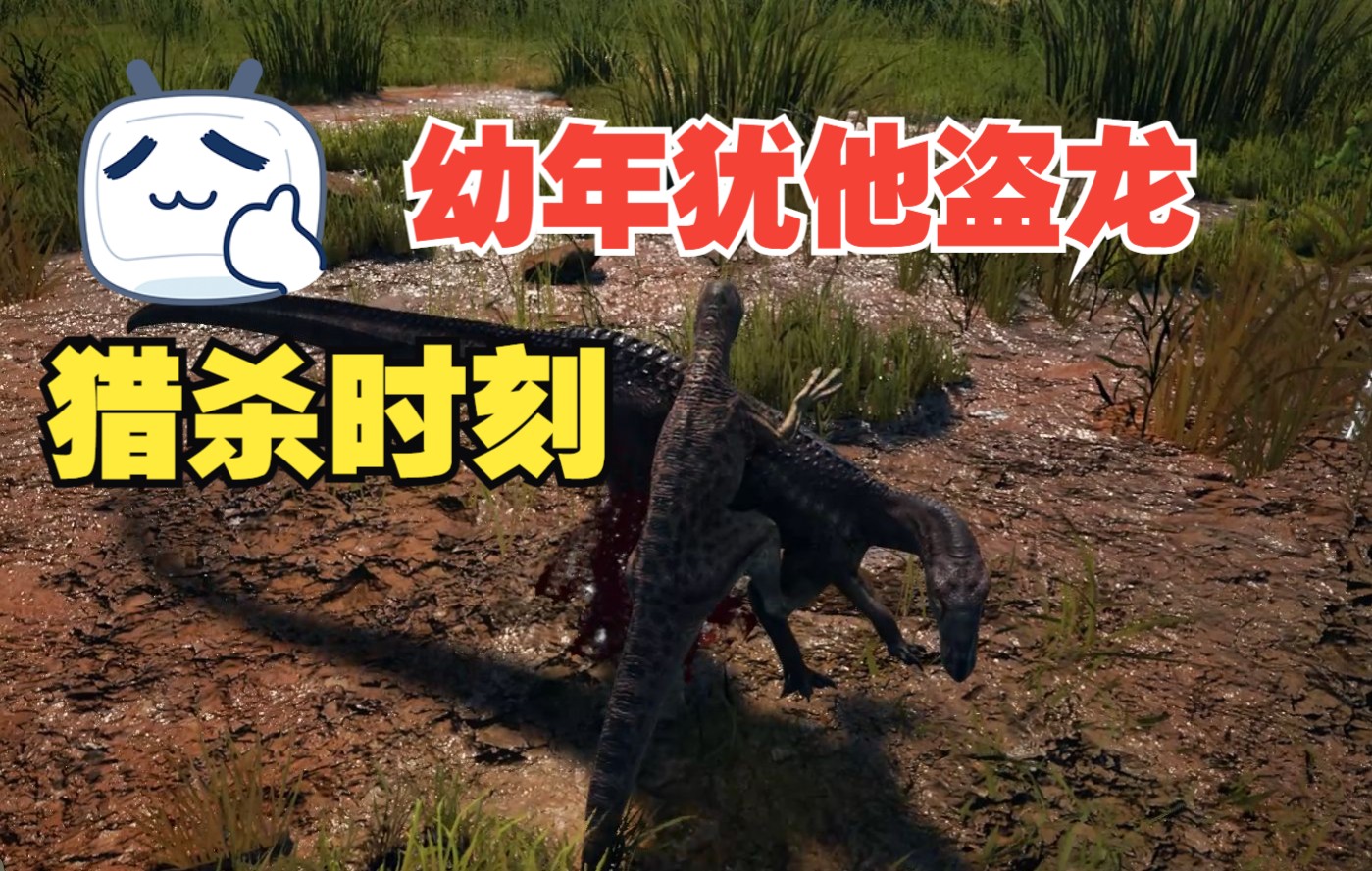 恐龙岛(the isle)测试服 小犹他盗龙vs小踢腿健