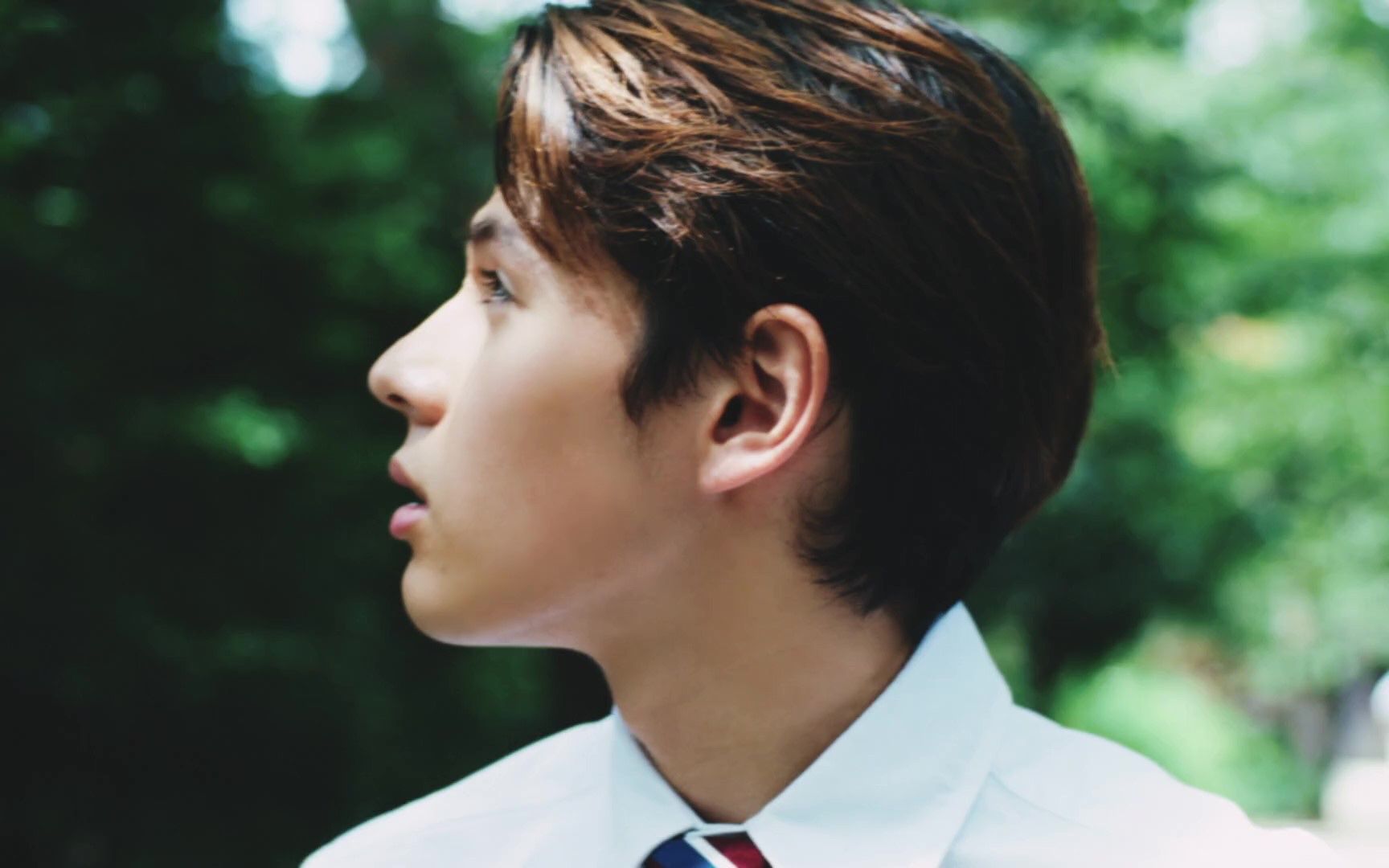 廉卡米卡青山威廉沙滩海风日落花火以及与你一起度过的浪漫夏日