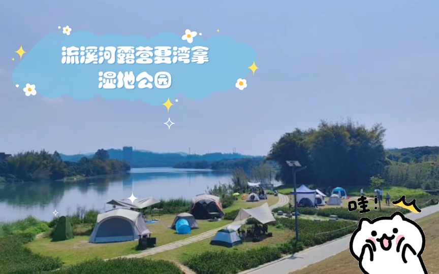 流溪河露营夏湾拿湿地公园
