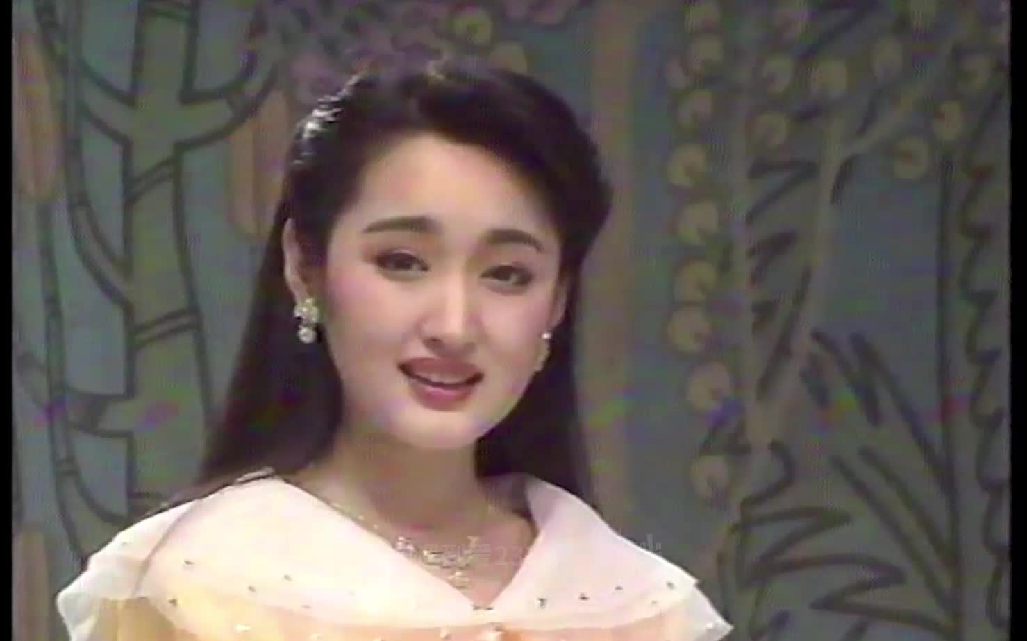 风含情水含笑 vhs cd音轨 1080p60帧