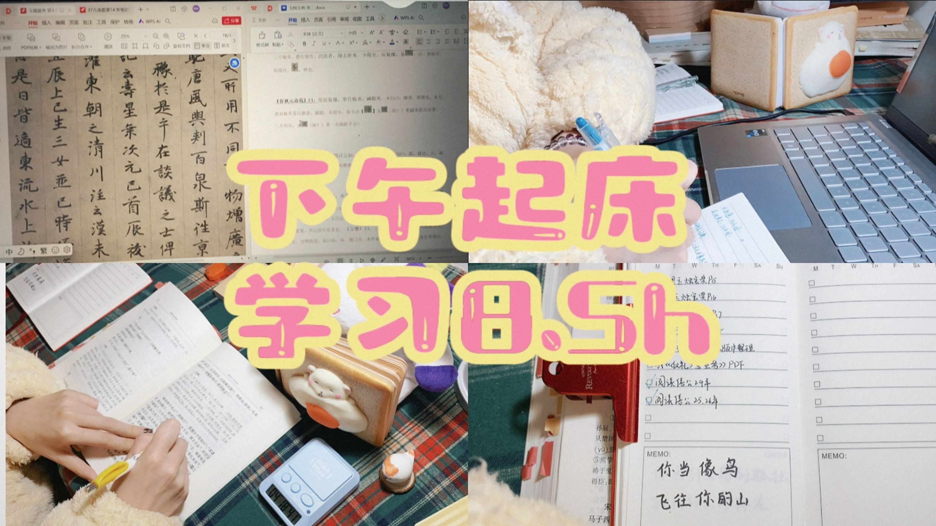 study vlog 30丨哈哈哈!ddl赶疯啦!