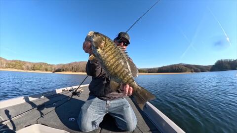 3 DAYS OF PIER FISHING MADNESS!!! 