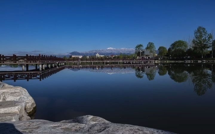 海陀戴雪图片