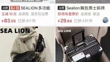 【SEA LION】4分黑标百亿箱包品牌,包年自己印吊牌模式拉杆箱、双肩包、女包,欢迎有需要的商家来聊[烟花][烟花]哔哩哔哩bilibili