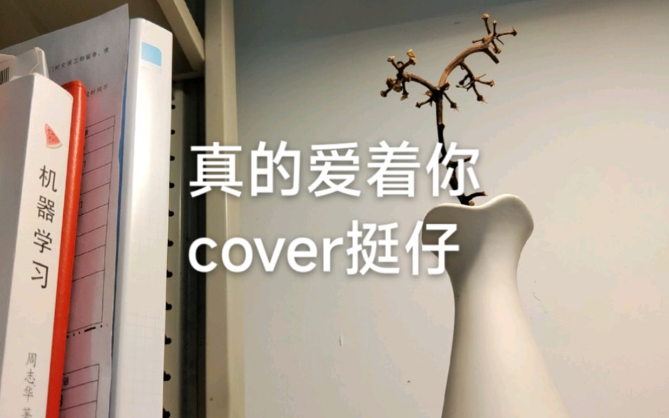 [图]真的爱着你cover挺仔