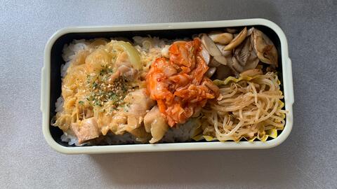 日本上班族日常便当 亲子丼配上韩国辣白菜黄油炒杏鲍菇还有酸爽的豆芽 哔哩哔哩 つロ干杯 Bilibili