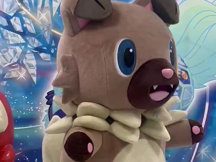 岩狗狗摇尾巴(岩手盛冈2024)