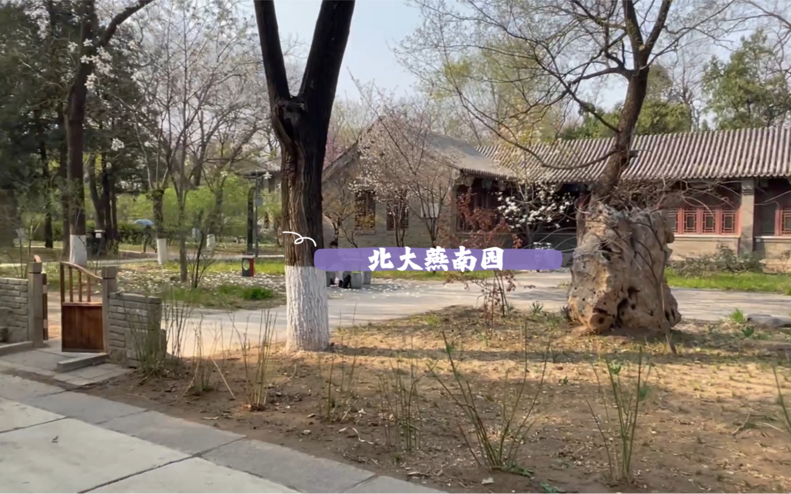 我们进去看看!北大燕南园2