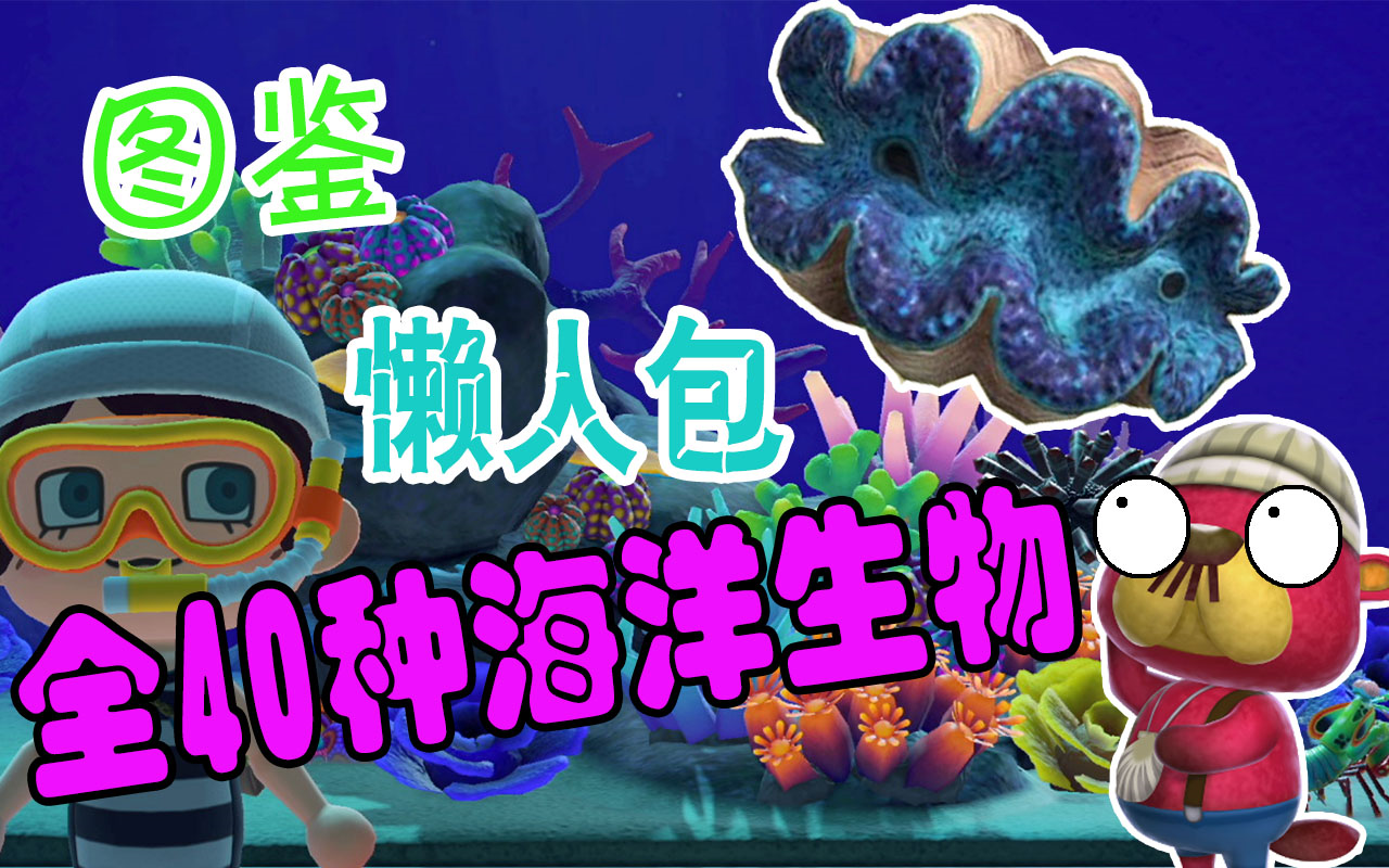 【动森】全40种海洋生物图鉴懒人包攻略,助你轻松达成全收集!哔哩哔哩bilibili