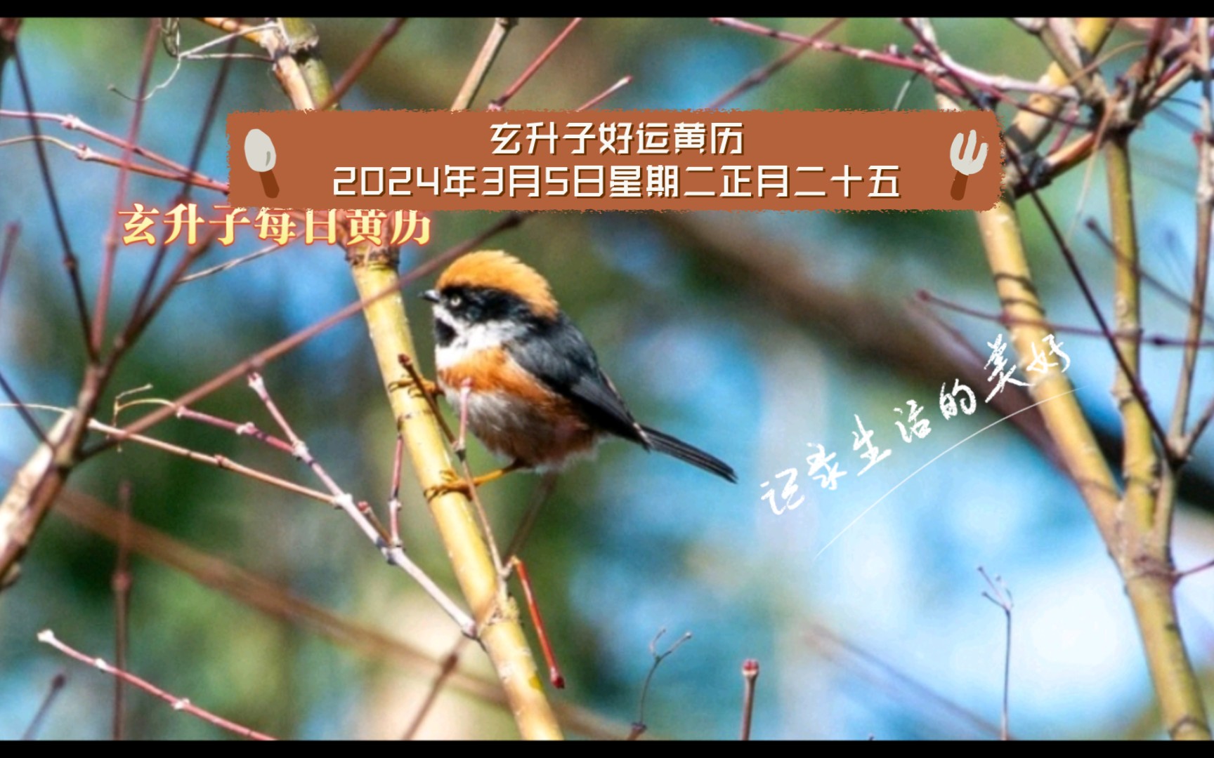 玄升子好运黄历2024年3月5日星期二正月二十五-玄升子-玄升子-哔哩