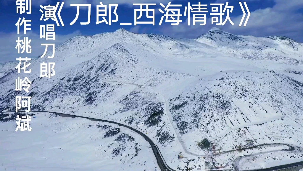 刀郎《西海情歌》爱像风筝断了线,苦苦等待高原冰雪融化之后归来的孤雁.哔哩哔哩bilibili