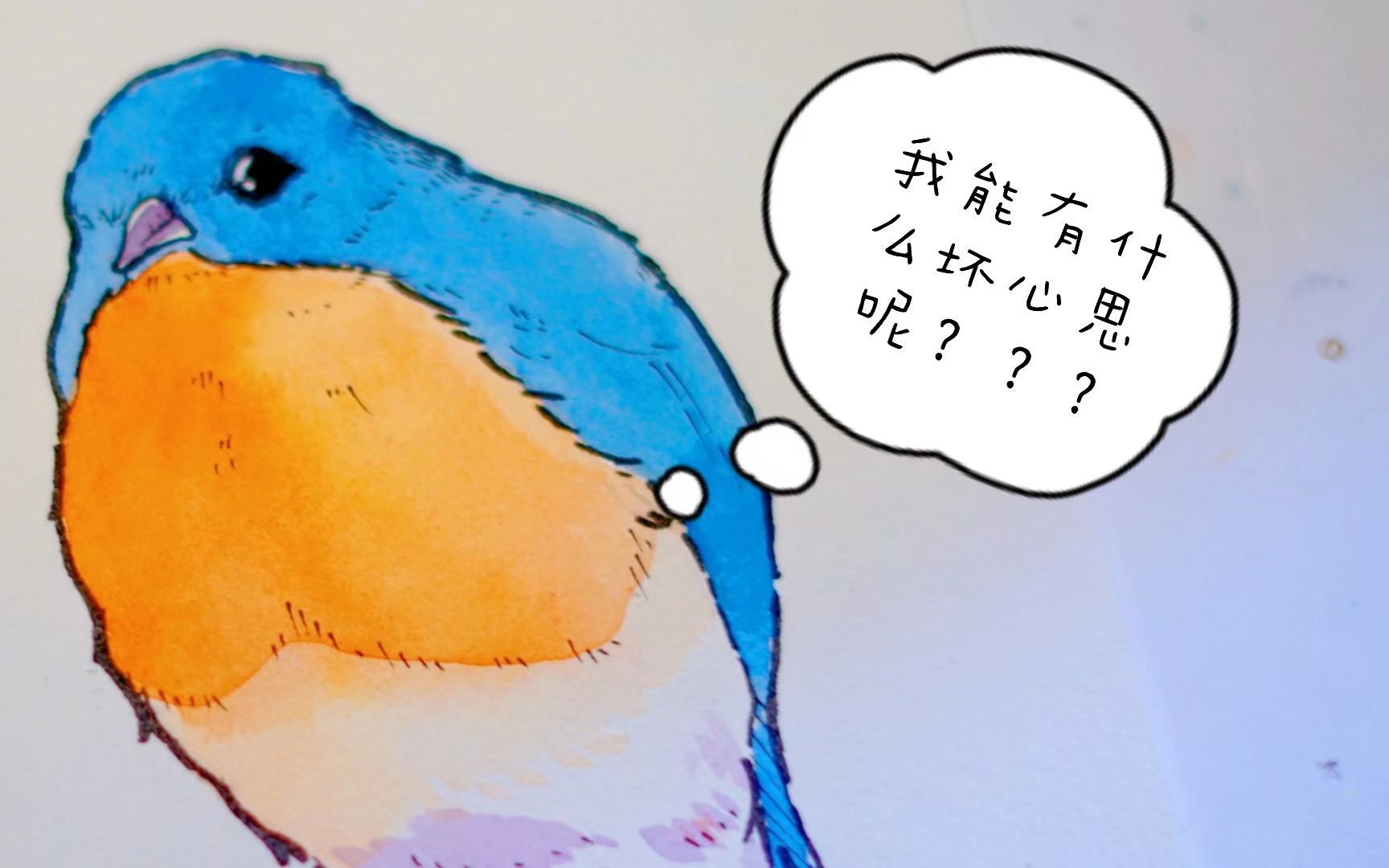 【淡彩】小肥鸟|"我能有什么坏心思呢"