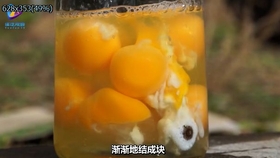 Megwin Tv 用10台电风扇吹起的大火来做炒饭 味道怎么样 哔哩哔哩 つロ干杯 Bilibili