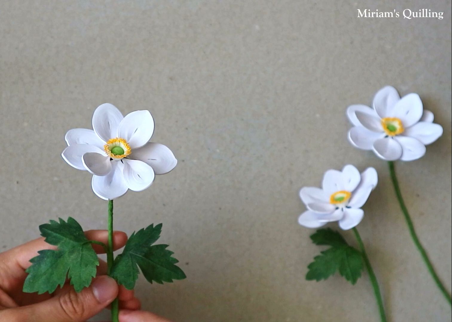 【miriams quilling】立体银莲花衍纸花制作教程how to make paper