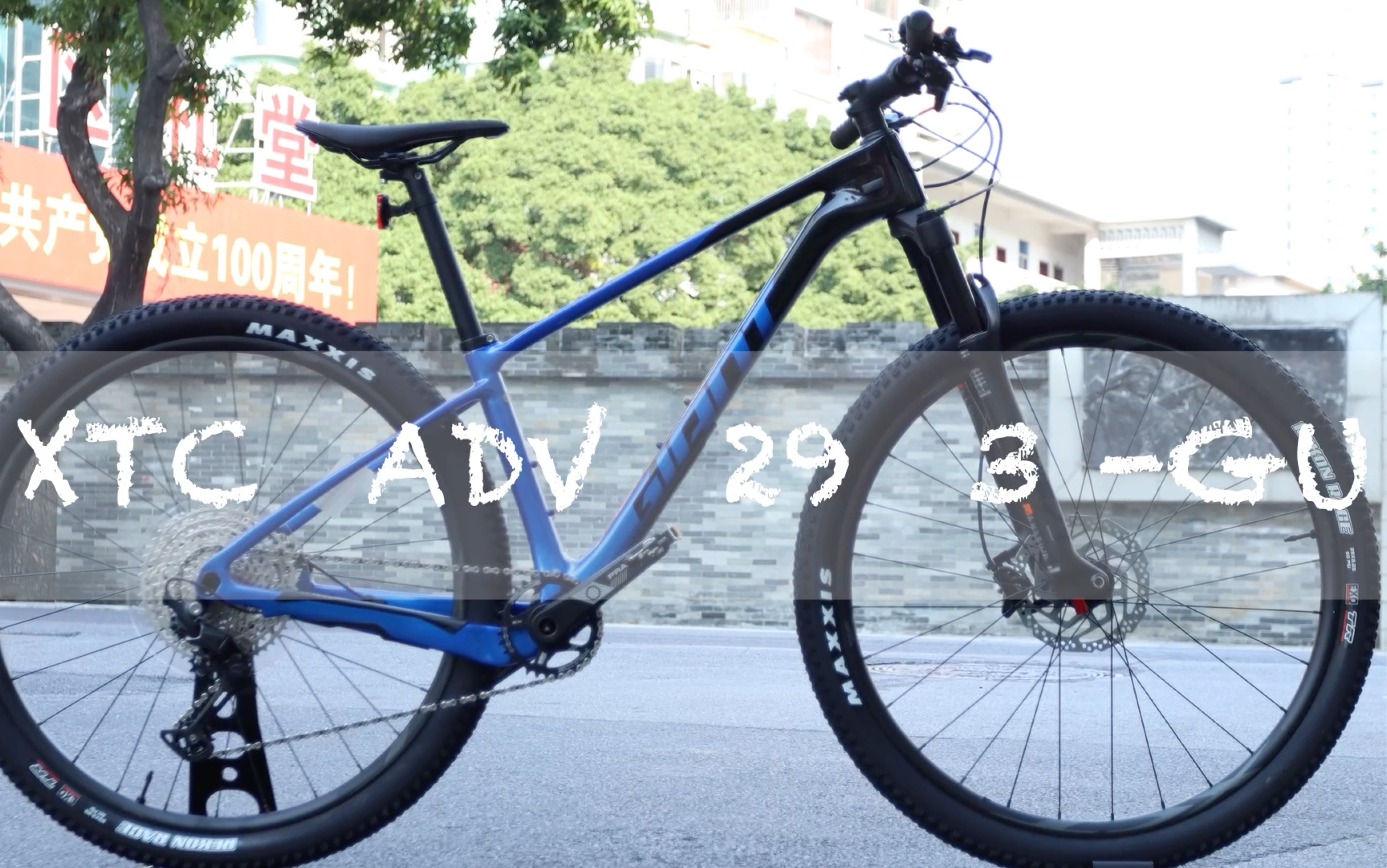 giant 29寸山地车