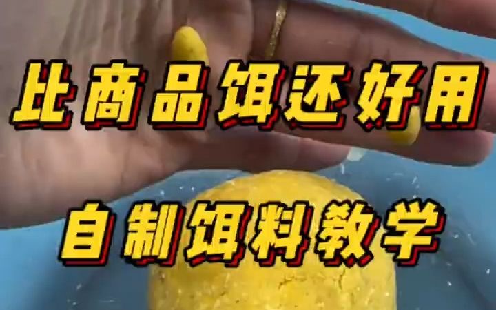 自制钓鱼饵料,比商品饵好用哔哩哔哩bilibili