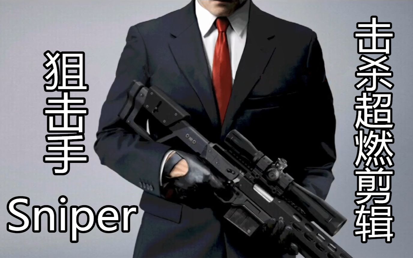 [图]【Hitman Sniper/杀手：狙击】击杀超燃剪辑：用心干掉每个人