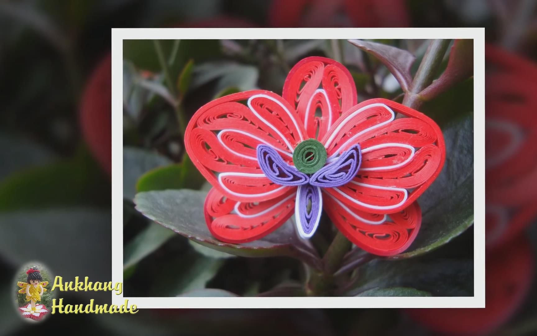 衍纸【quiling】蝴蝶兰 兰花v2 和花蕾教程 diy纸兰花教程