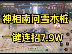 Descargar video: 神相一键连招南问雪木桩8万全职一键