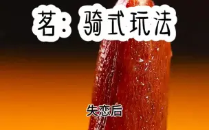 Descargar video: 茗：骑式玩法