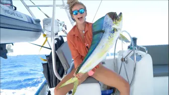 Descargar video: 航行时在偏远水域寻找食物MAHI FRENZY