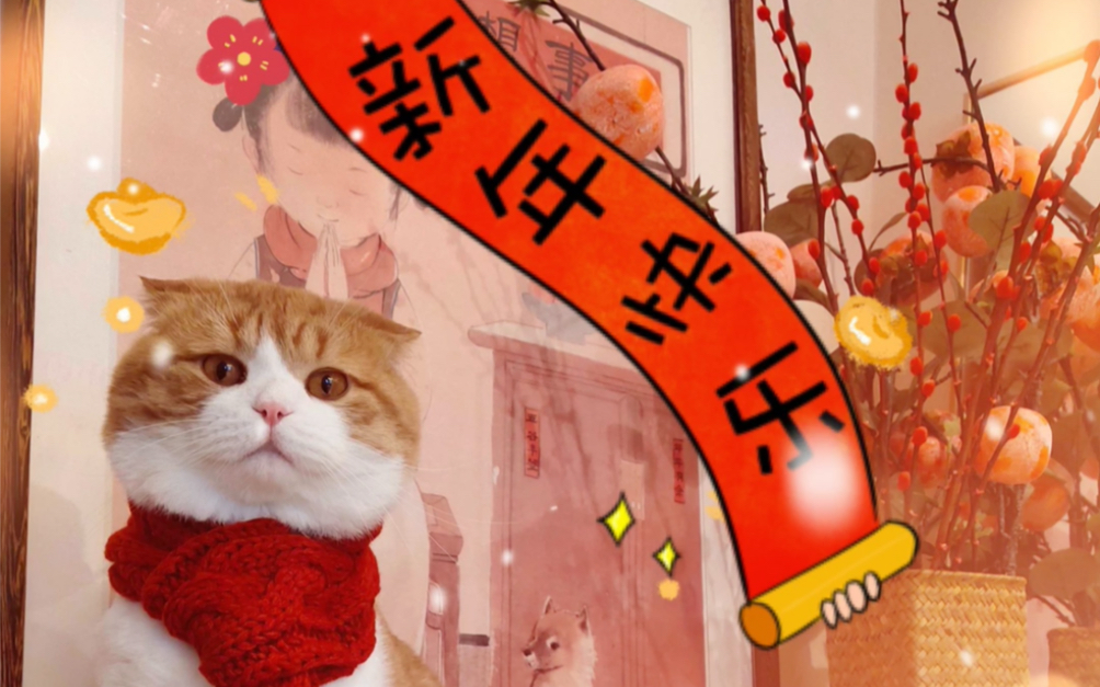 猫咪新年礼包!新年快乐!