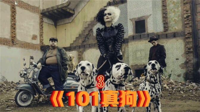 电影:683/369男人单身30年,养了一只狗保姆《101真狗》