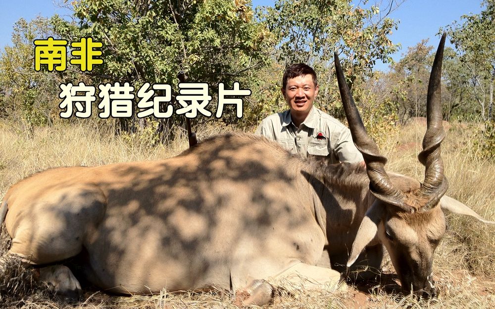 [图]南非狩猎纪录片