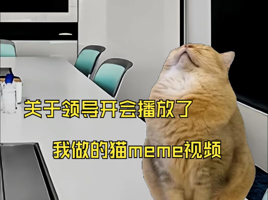 领导开会播放了我做的猫meme视频哔哩哔哩bilibili