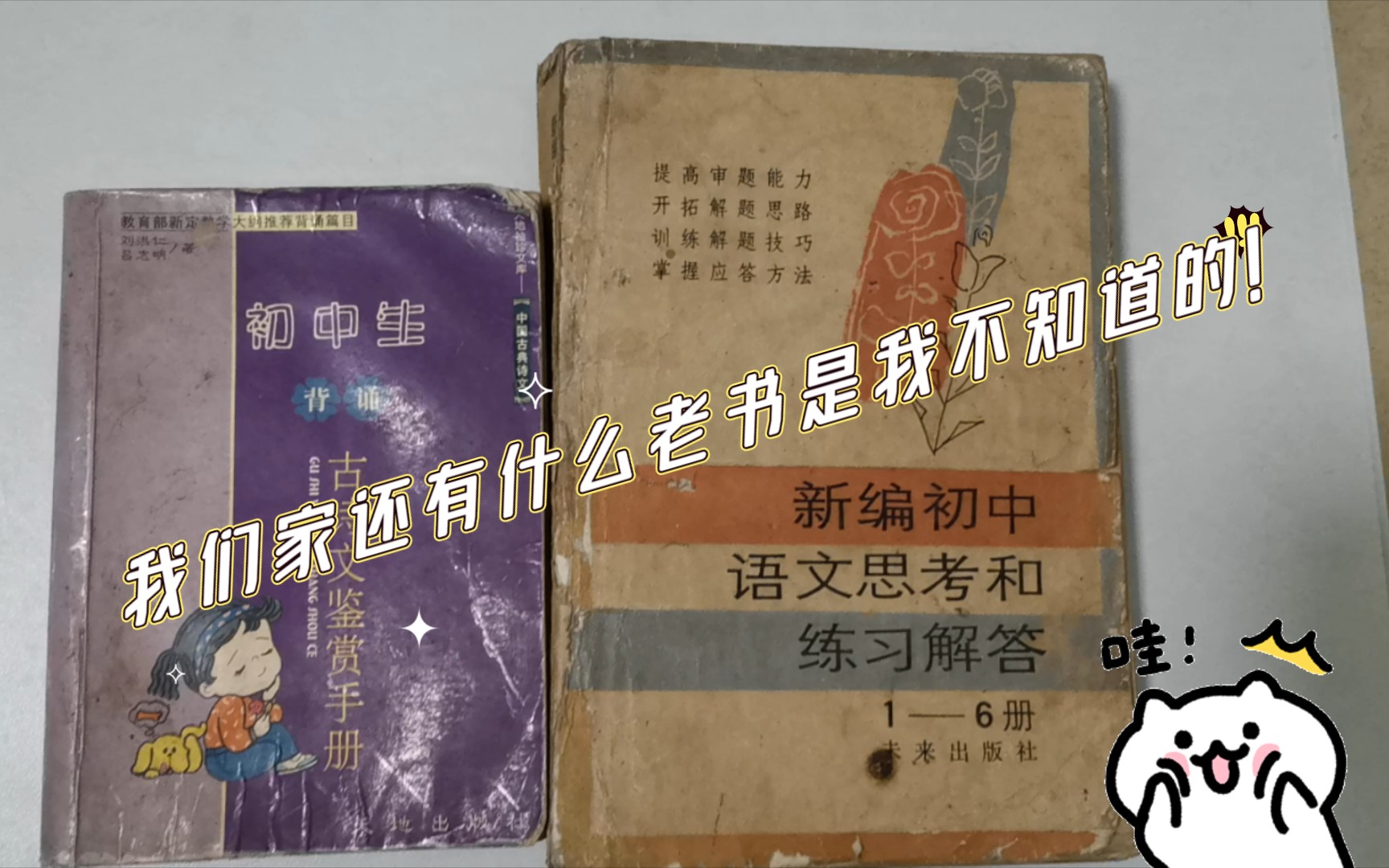 这大概是“斯人”“是人”之争中相当有年代感的纸质佐证资料了哔哩哔哩bilibili