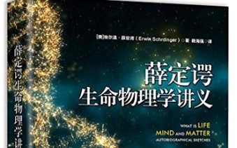 第11夜:《薛定谔生命物理学讲义》熵减,幸福妙门.自从理解了熵减,我的日子好过多了,哈哈哔哩哔哩bilibili