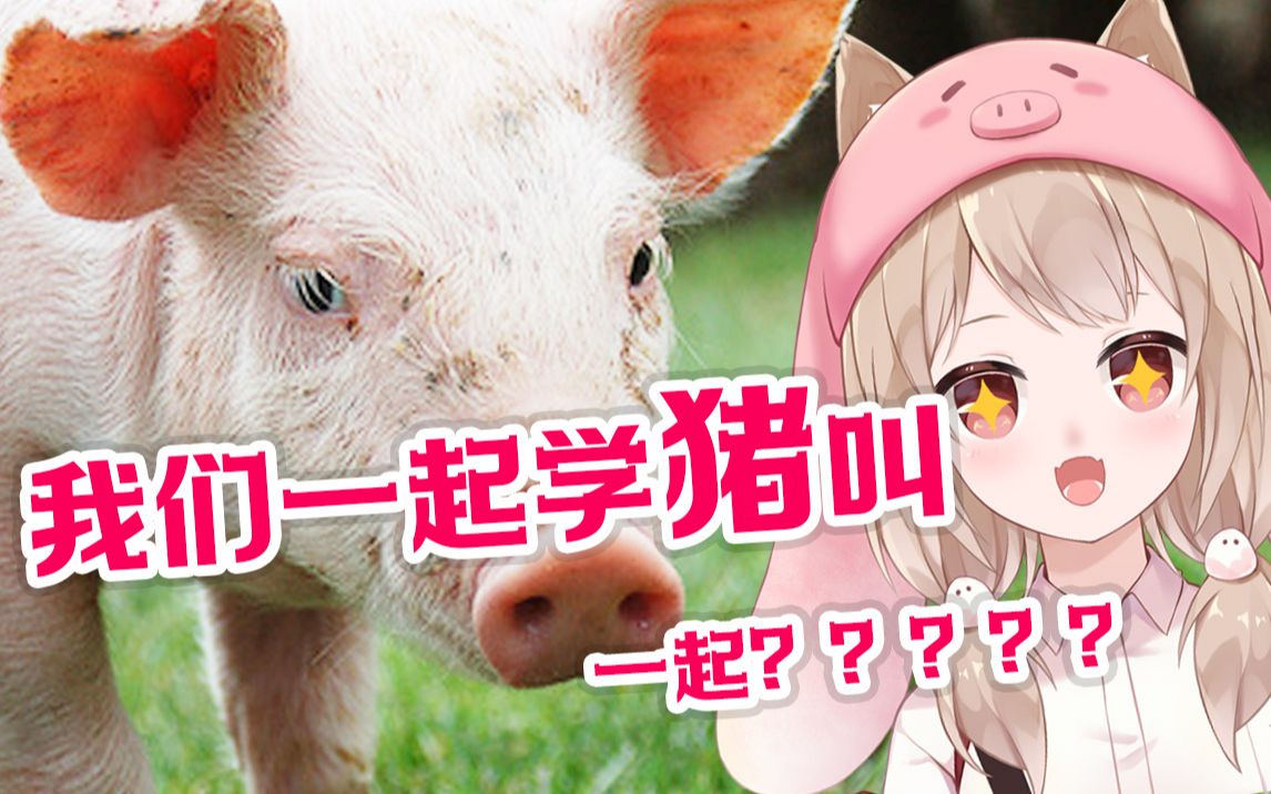 活动作品学猪叫母语激情演唱