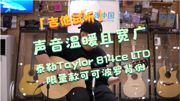 [图]吉他试听｜泰勒Taylor 814ce LTD 限量款可可波罗背侧