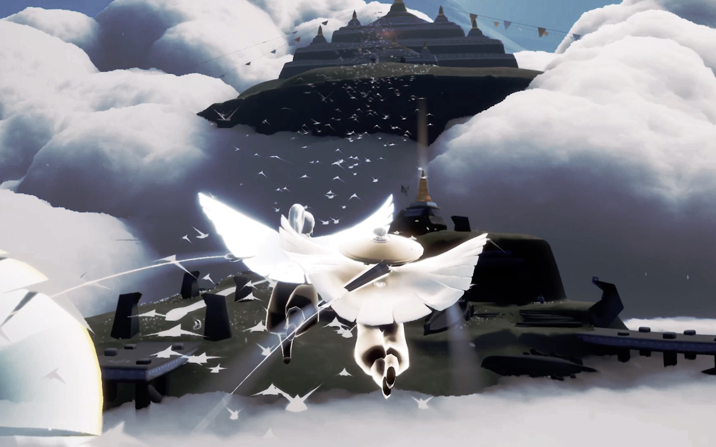 光遇cp向高马尾箬笠我会永远爱你