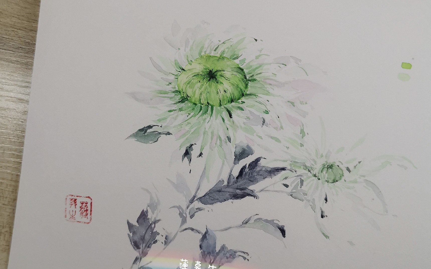 水彩古风植物花卉绿色菊花水彩教程