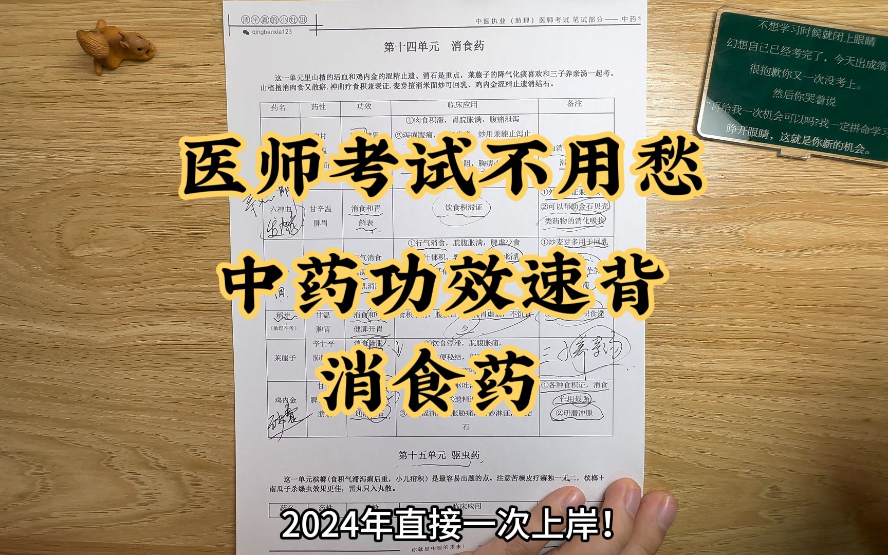 中医(助理、执业、师承、专长、考研)医师考试中药功效背诵消食药哔哩哔哩bilibili