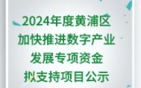 2024年度黄浦区加快推进数字产业发展专项资金拟支持项目公示哔哩哔哩bilibili