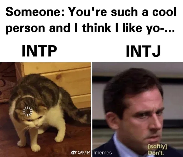 mbti梗图——intp (矛盾、纠结、自虐).哔哩哔哩bilibili