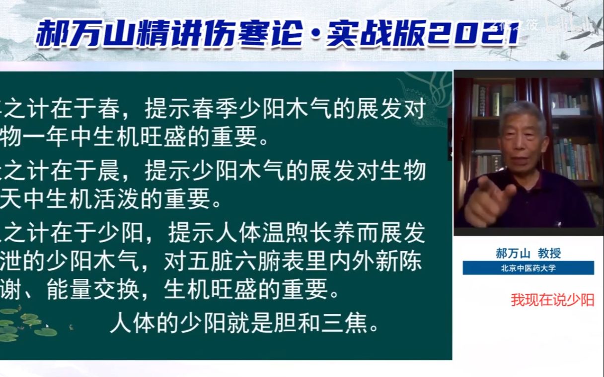 [图]（带字幕）2021郝万山讲伤寒论—少阳病全集：小柴胡汤、柴胡桂枝汤、大柴胡汤、柴胡桂枝干姜汤、柴胡加龙骨牡蛎汤，舒达少阳治抑郁、肿瘤、过敏、亚健康、身心性疾病。