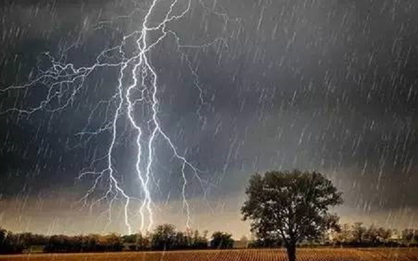 [图]雷雨天最适合睡觉了