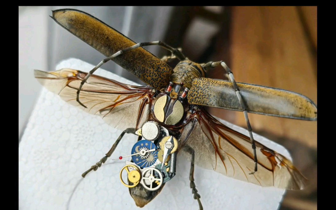 蒸汽朋克甲虫制作