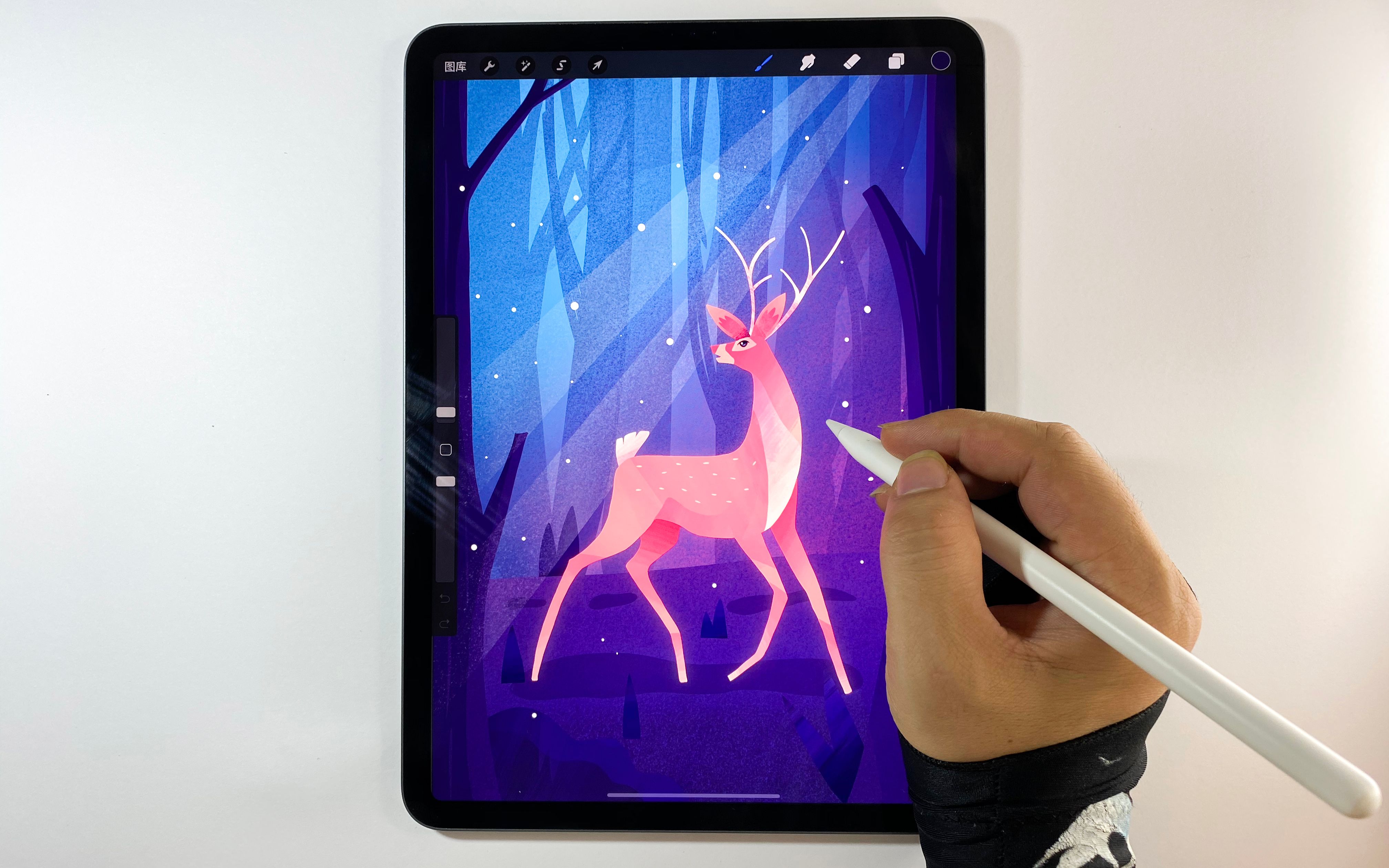 【ipad绘画】procreate|森林里的鹿