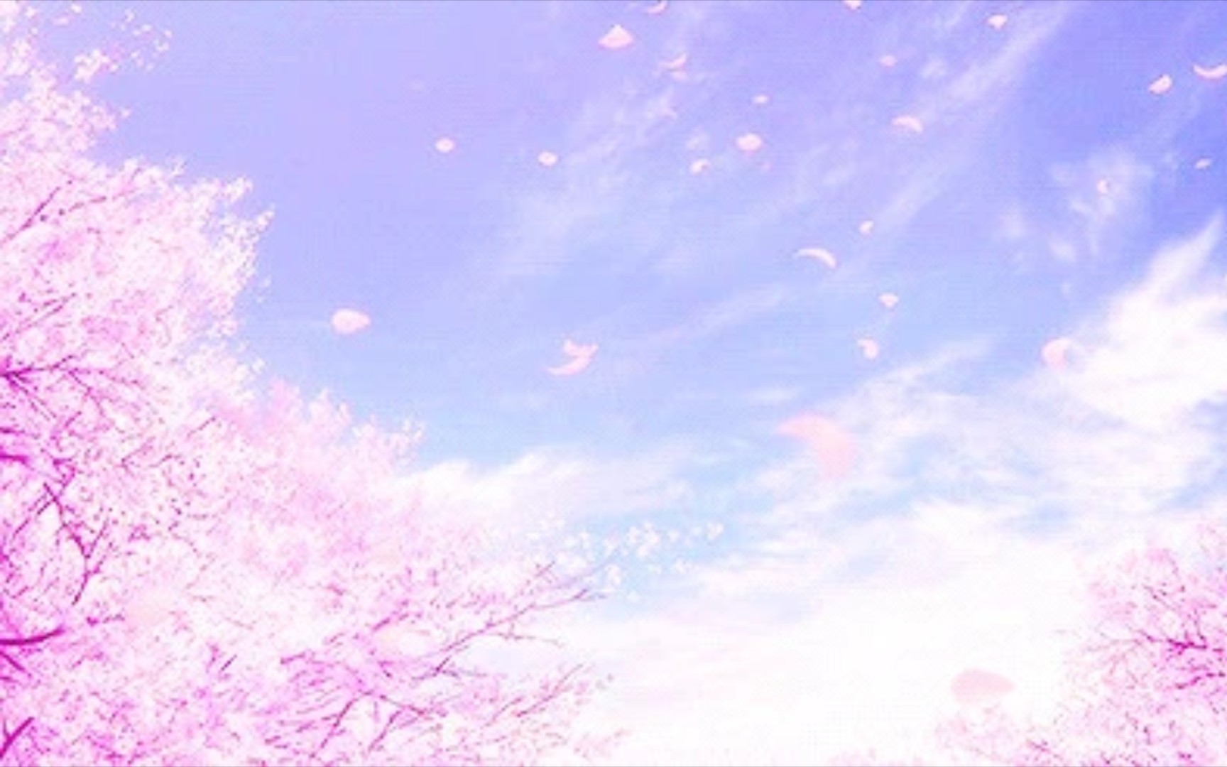 【菜姬】那年的樱花真美