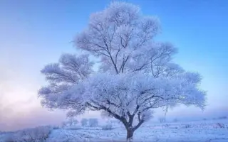 雪景色 搜索结果 哔哩哔哩 Bilibili